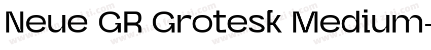 Neue GR Grotesk Medium字体转换